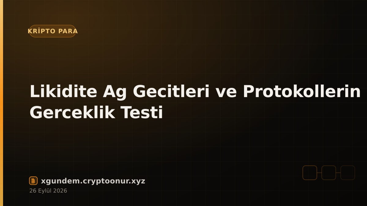 Likidite Ag Gecitleri ve Protokollerin Gerceklik Testi